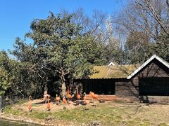 -扬州市茱萸湾风景区