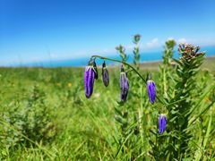 -青海湖国家重点风景名胜区