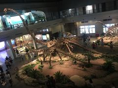 -自贡恐龙博物馆