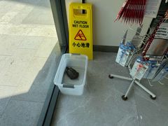 -中农国际动物医院24小时·猫科·骨科·急重症中心