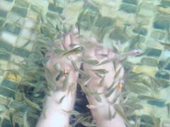 -厦门日月谷温泉渡假村