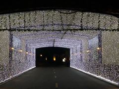 -浙江安吉JW万豪酒店·万豪中餐厅