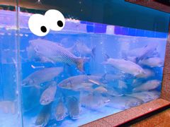 -淘米捞·米汤脆鲩鱼火锅(福田皇岗店)