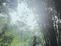 -咸宁万豪温泉谷度假区