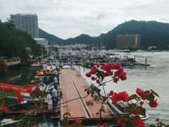 -三亚游船旅游中心(三亚鹿回头游艇游船公共码头店)