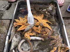-海驴岛(荣成市)