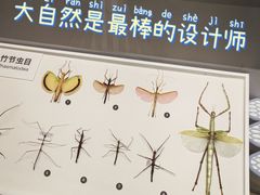 -四川大学博物馆