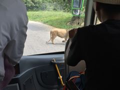 -西安秦岭野生动物园