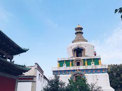 -塔尔寺