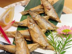 -乌君·酒场·炭火烧鸟(侨城坊店)