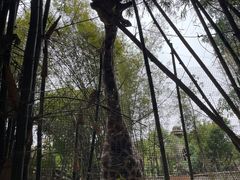 -长鹿旅游休博园