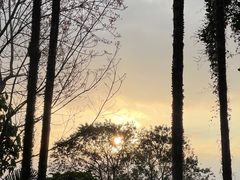 -七仙岭温泉国家森林公园