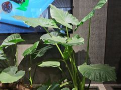 -陈熹公民族美食文化餐厅(中华广场店)