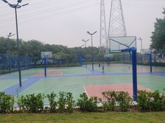 -王借岗森林公园