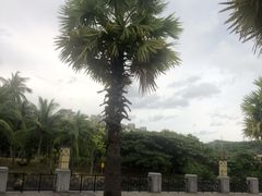 -三亚游船旅游中心(三亚鹿回头游艇游船公共码头店)