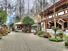 -青城甲(青城山店)