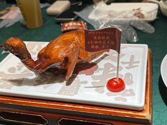 -大鸽饭(汉溪长隆店)