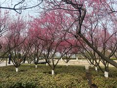 -诺贝尔湖公园