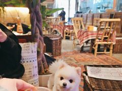 -火塘云南烧烤大排档