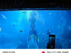 -左海海底世界