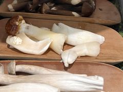 -菌小白火锅(时尚天河店)