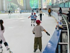 -世界之窗阿尔卑斯冰雪世界