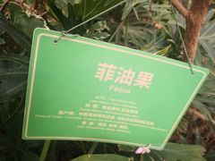 -南宫五洲植物乐园