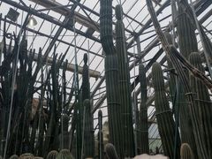 -南山植物园