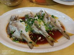 -阿四台山黄鳝饭(东门店)