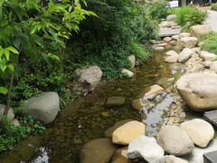 -活水公园