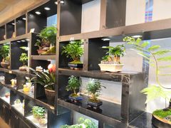 -双季花艺园艺市场(浦东店)