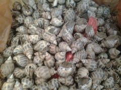 android_upload_pic-小铜锣湾海鲜家常菜馆(河西店)