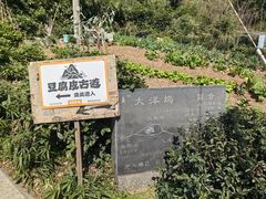 -午潮山国家森林公园