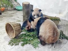 -杭州动物园
