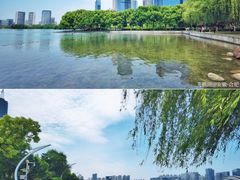 -天鹅湖体育公园