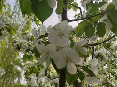 -元大都城垣遗址公园