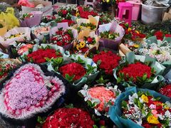 -昆明国际花卉拍卖交易中心