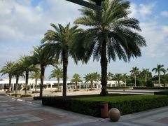 -厦门国家会计学院