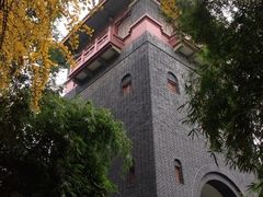 四川大学(华西校区)-四川大学(华西校区)