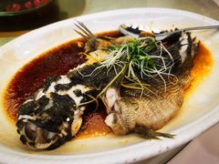 笋壳鱼-海龙渔村(万江分店)