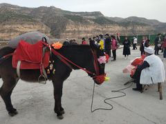 -陕西黄河壶口瀑布旅游区
