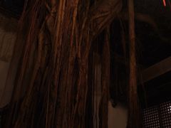 -文儒九号·闽菜馆(三坊七巷店)