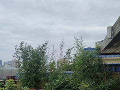 -小茶闲舍·观景商务茶馆(广州塔店)
