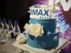 -万达影城(IMAX激光铁西万达广场店)