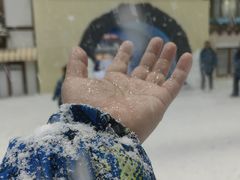 -世界之窗阿尔卑斯冰雪世界