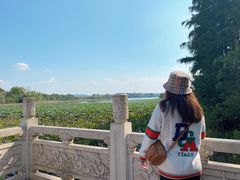-东湖落雁景区