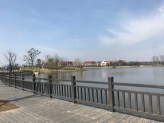 -上海长兴岛郊野公园