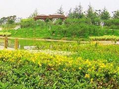 -白塘生态植物园