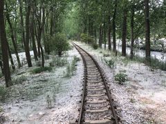 -合肥滨湖国家森林公园