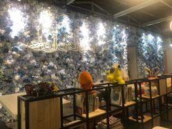 -doladola(徐家汇店)